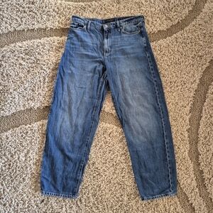 Banana Republic Jeans High Rise Barrel Fit Women Size 29 Medium Wash